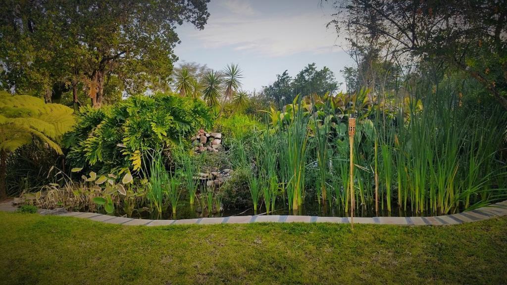 Kwambali Riverside Lodge Hazyview Dış mekan fotoğraf