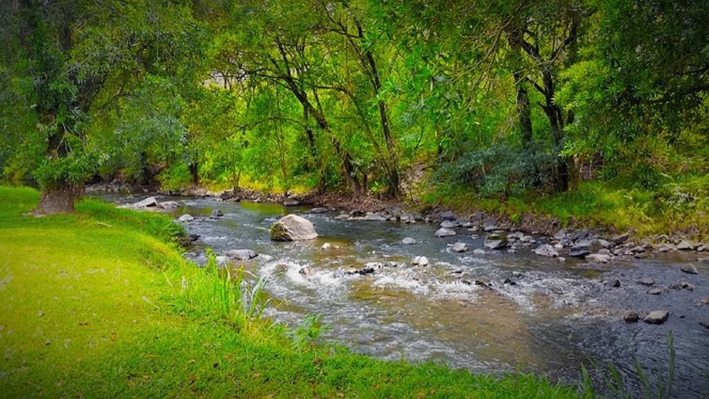 Kwambali Riverside Lodge Hazyview Dış mekan fotoğraf